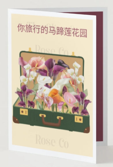 Mental Health: Your Traveling Calla Lily Garden