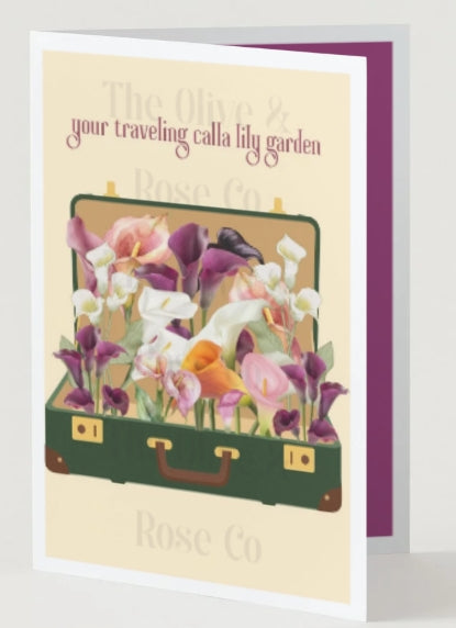Mental Health: Your Traveling Calla Lily Garden