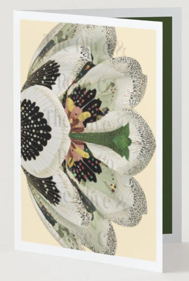 Art Nouveau Floral Pattern