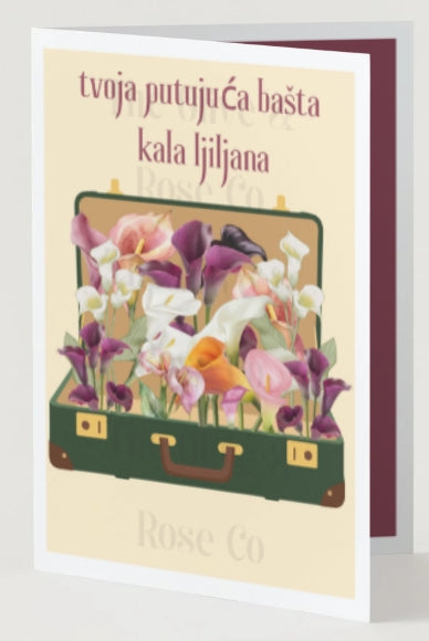 Mental Health: Your Traveling Calla Lily Garden