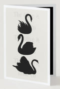 Black & Ivory