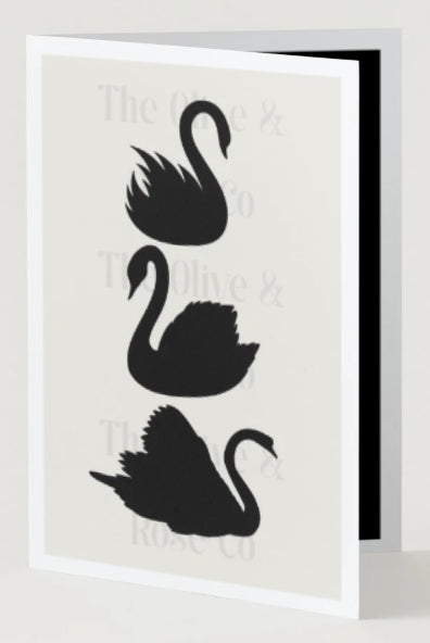Black & Ivory