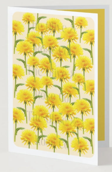 Floral Pattern