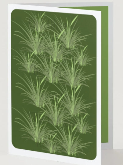 Floral Pattern