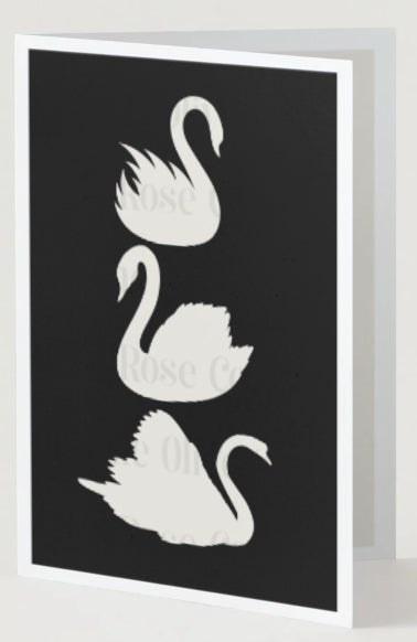 Black & Ivory